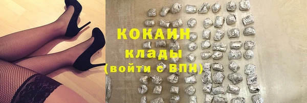 эйфоретик Арсеньев