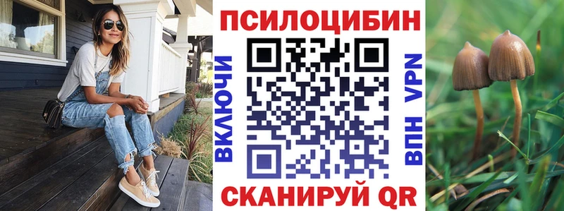 Псилоцибиновые грибы GOLDEN TEACHER  Козьмодемьянск 